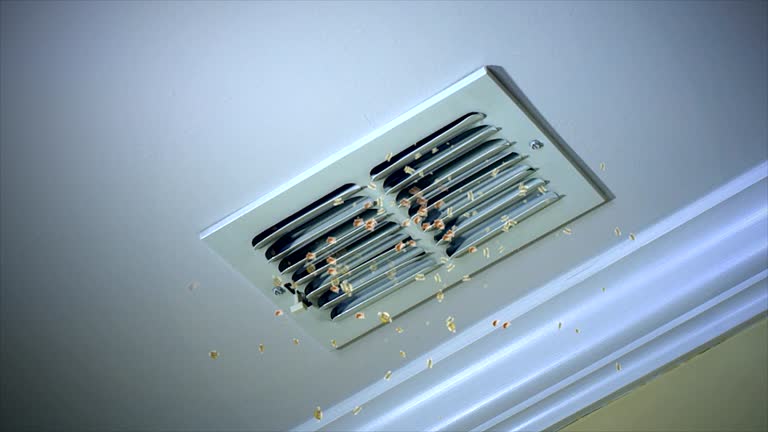 Best Local Air Duct Cleaning Services  in La Grange, NC