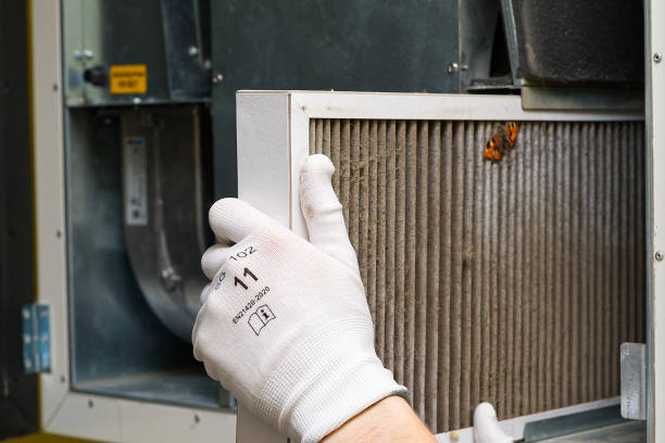 Best Affordable Air Duct Cleaning  in La Grange, NC