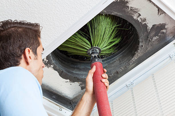 Best Professional Duct Cleaning Services  in La Grange, NC